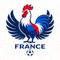 法国国家足球队标志