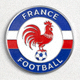 法国国家足球队队徽
